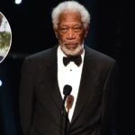 Jeanette Adair Bradshaw: The Untold Story of Morgan Freeman's First Wife